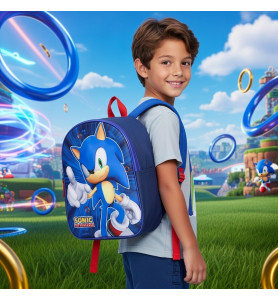 copy of ZAINO ASILO SONIC IN 3D